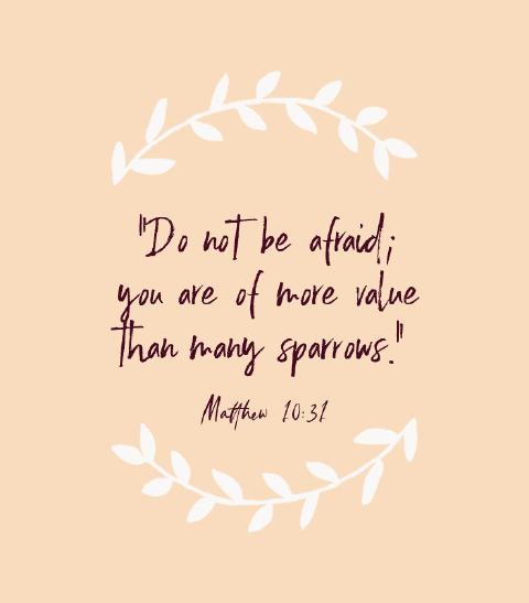 “Do not be afraid; you are of more value than many sparrows.” — Matthew 10:31
