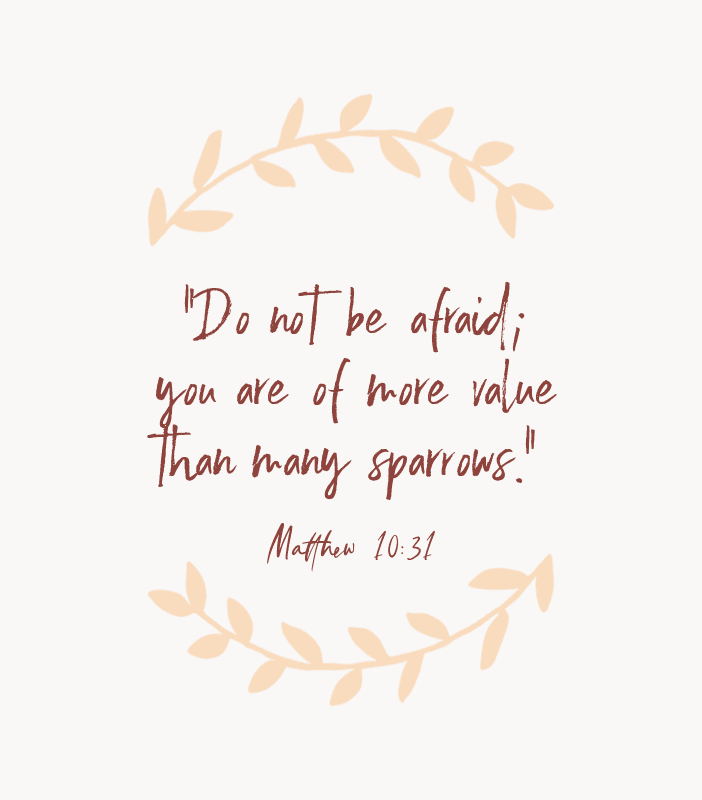 “Do not be afraid; you are of more value than many sparrows.” — Matthew 10:31